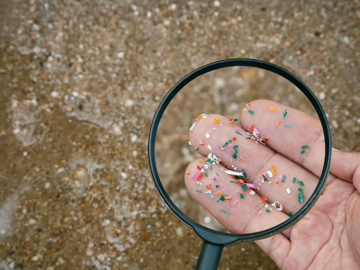 Colorful microplastic particles visible under a magnifying glass
